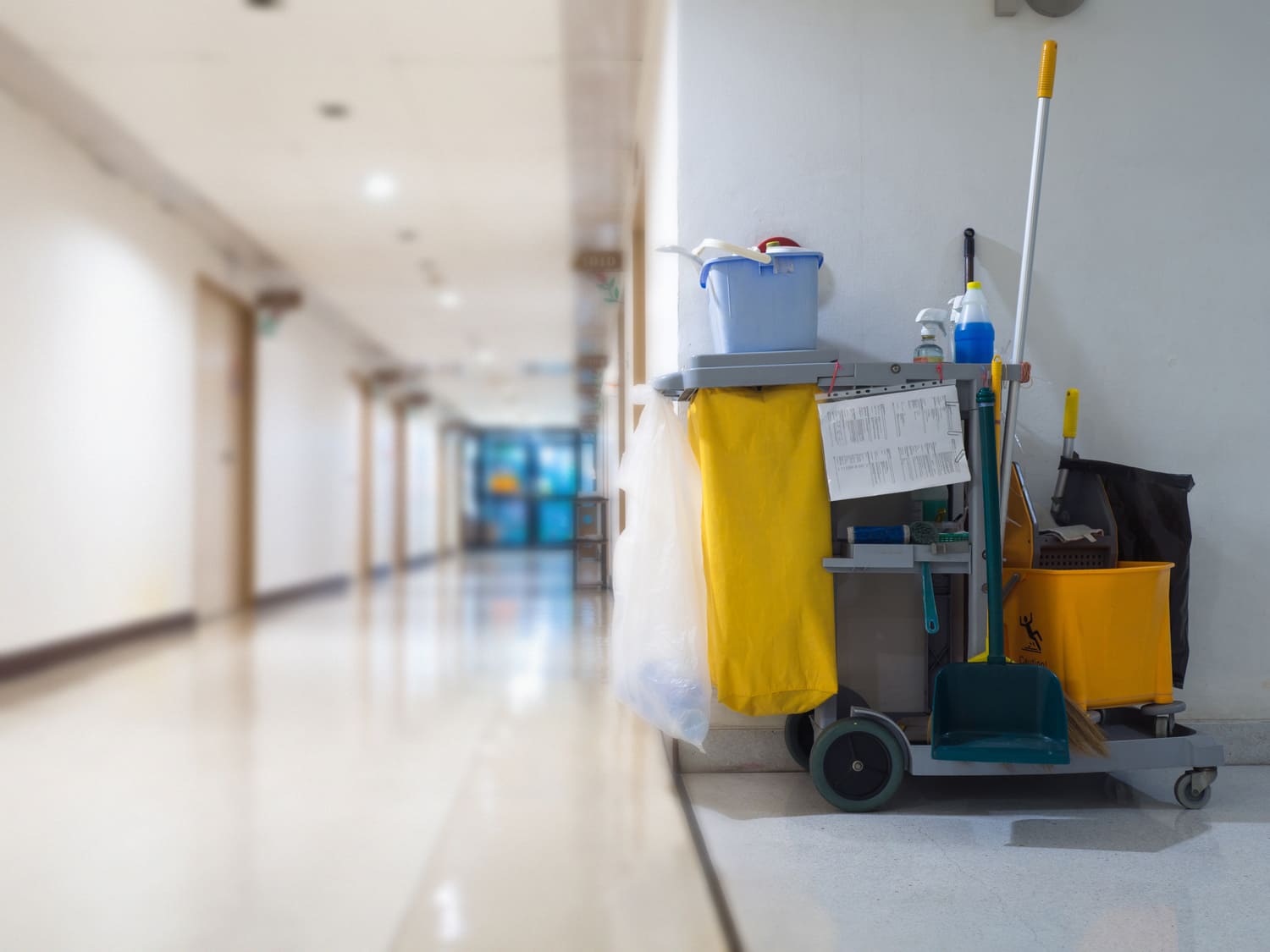 MG Professional Cleaning Wide Range of Janitorial Services Arlington